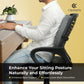 Ultimate Pro Back Support Cushion for Chair