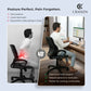 Back Support For Office Chair.